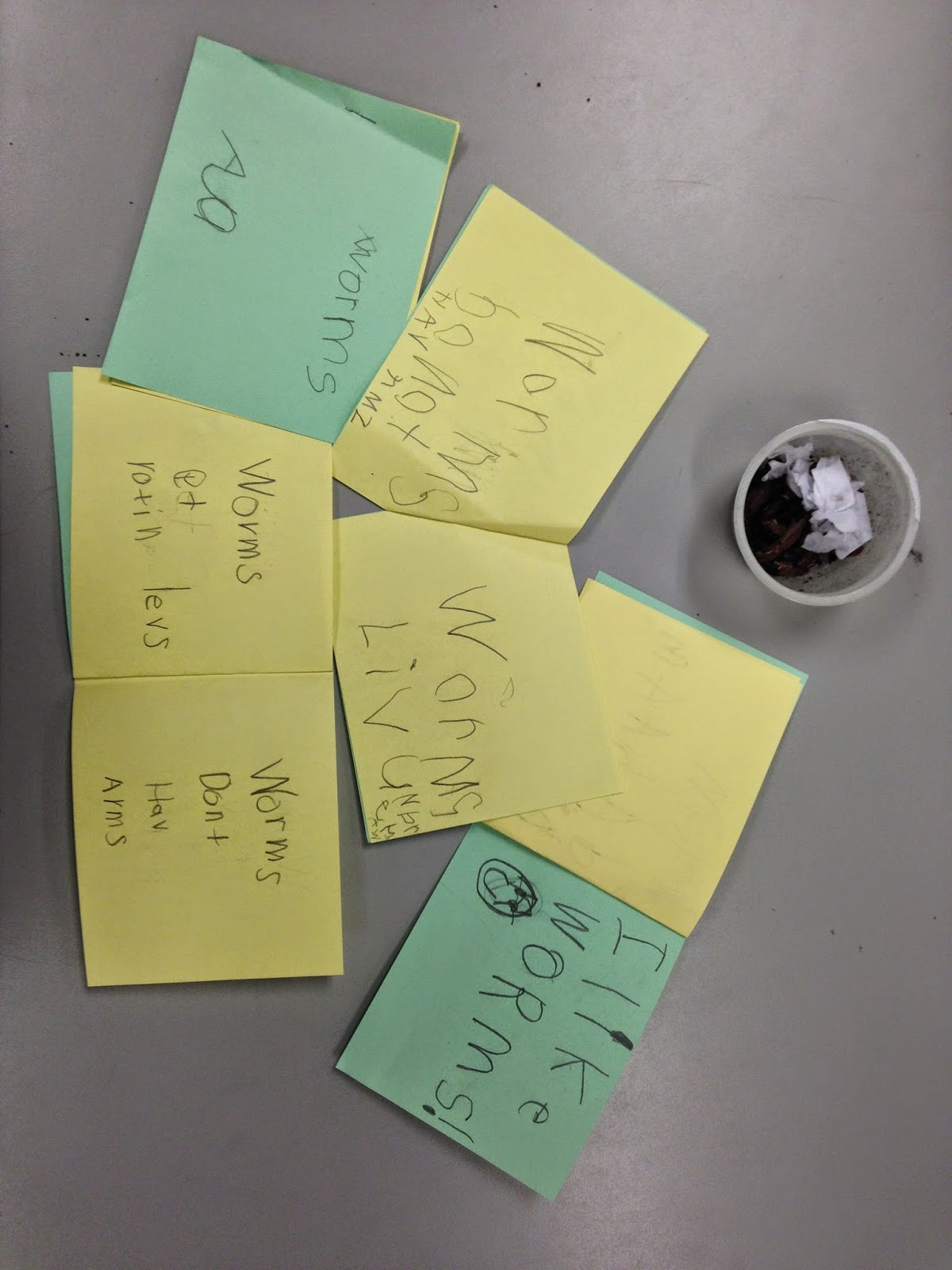  Right to the Core - Lessons for Kindergarten Teachers: Wonderful Worms! 