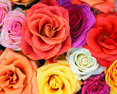 [Image: flowers-wallpapers-love-blooms-roses-bun...lowers.jpg]