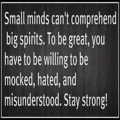 SMALL MINDS CANT COMPREHEND BIG SPIRITS - Quotes