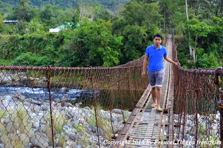 Frenz Fries Adams, Ilocos Norte