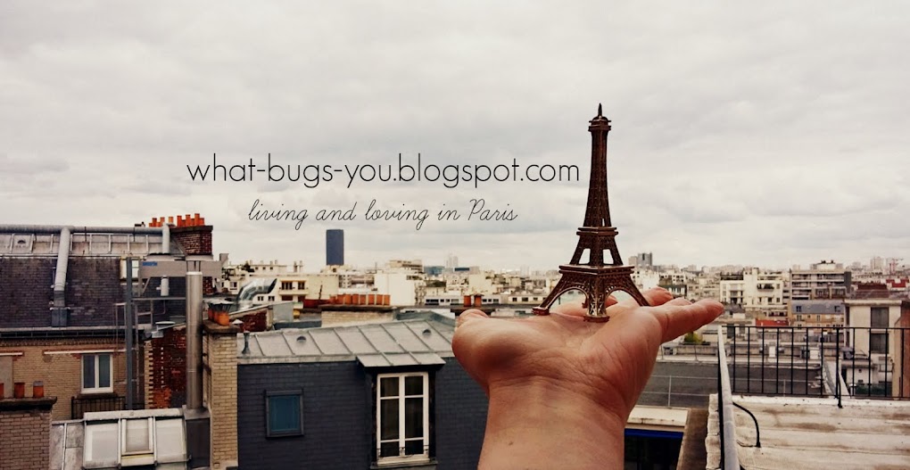 What bugs you when you live in Paris?
