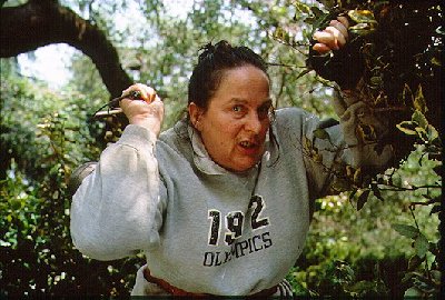 Fräulein Knüppelkuh