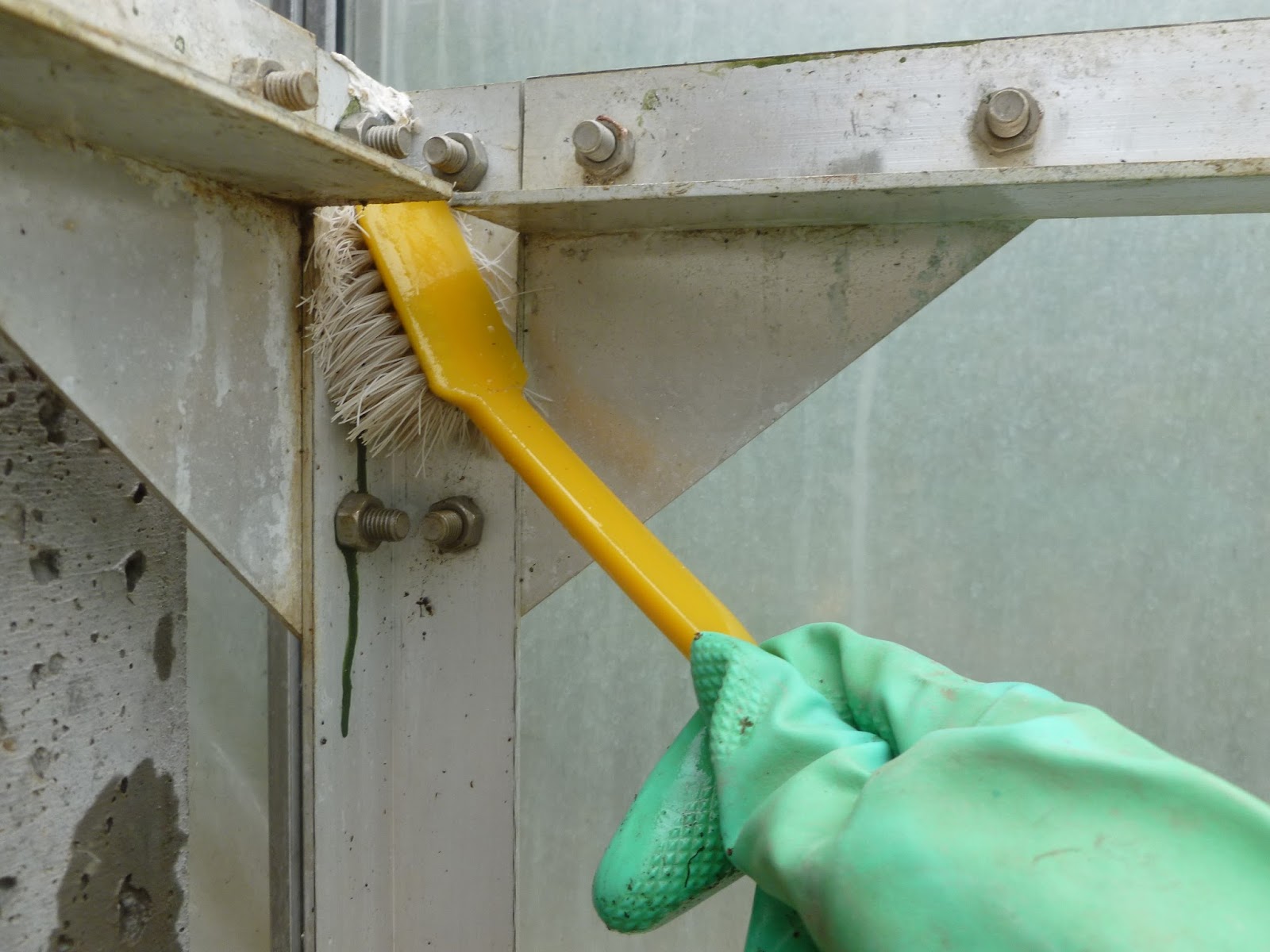 Fruit Trees Home Gardening Apple, Cherry, Pear, Plum Winter Wash