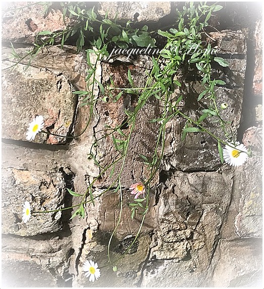 Get Vegeta Junior Full Shaded HD Get Wallpaper Vegeta Junior Full Shaded Free