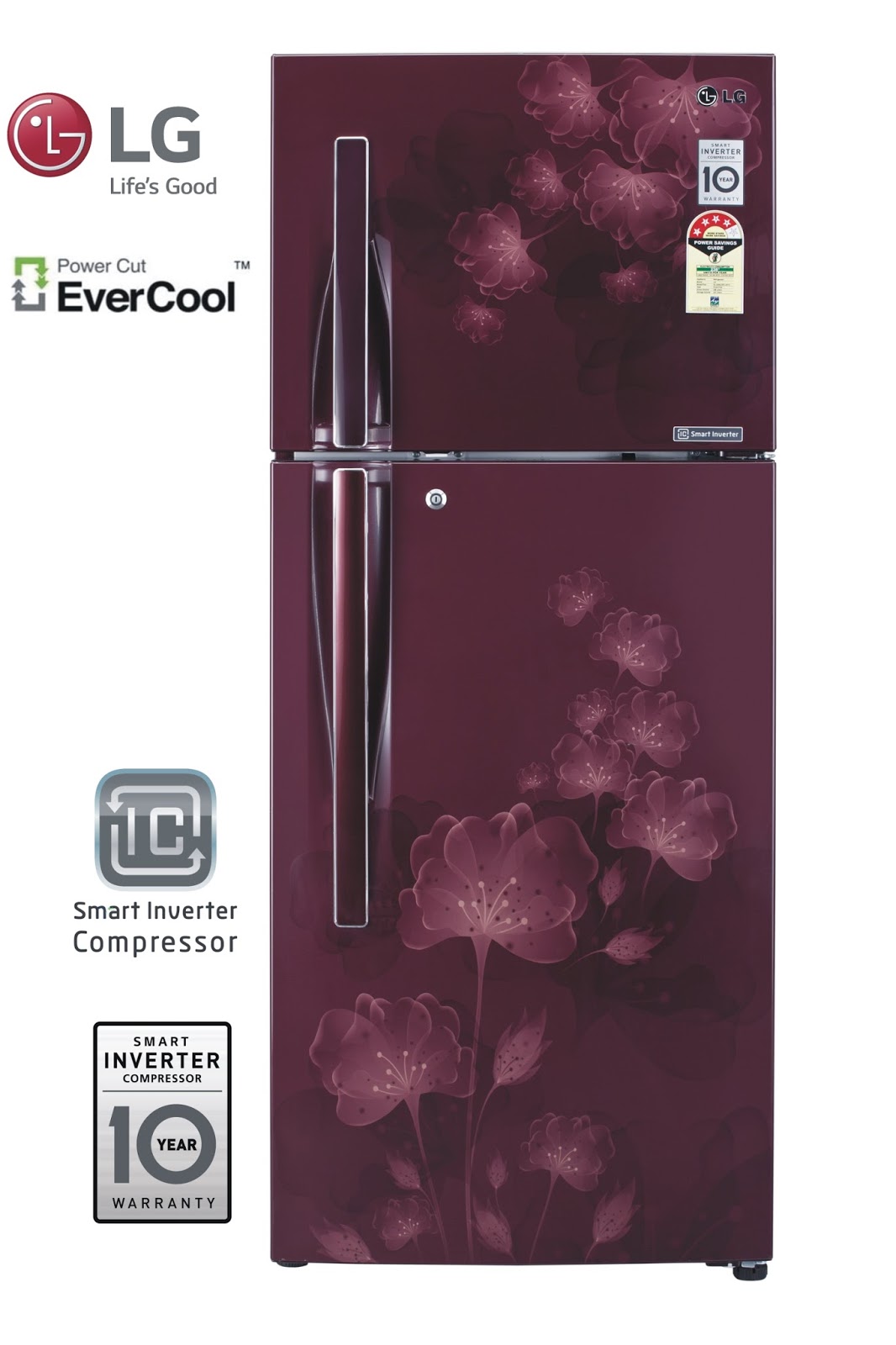 Stella Dimoko LG Electronics Introduces Evercool Smart