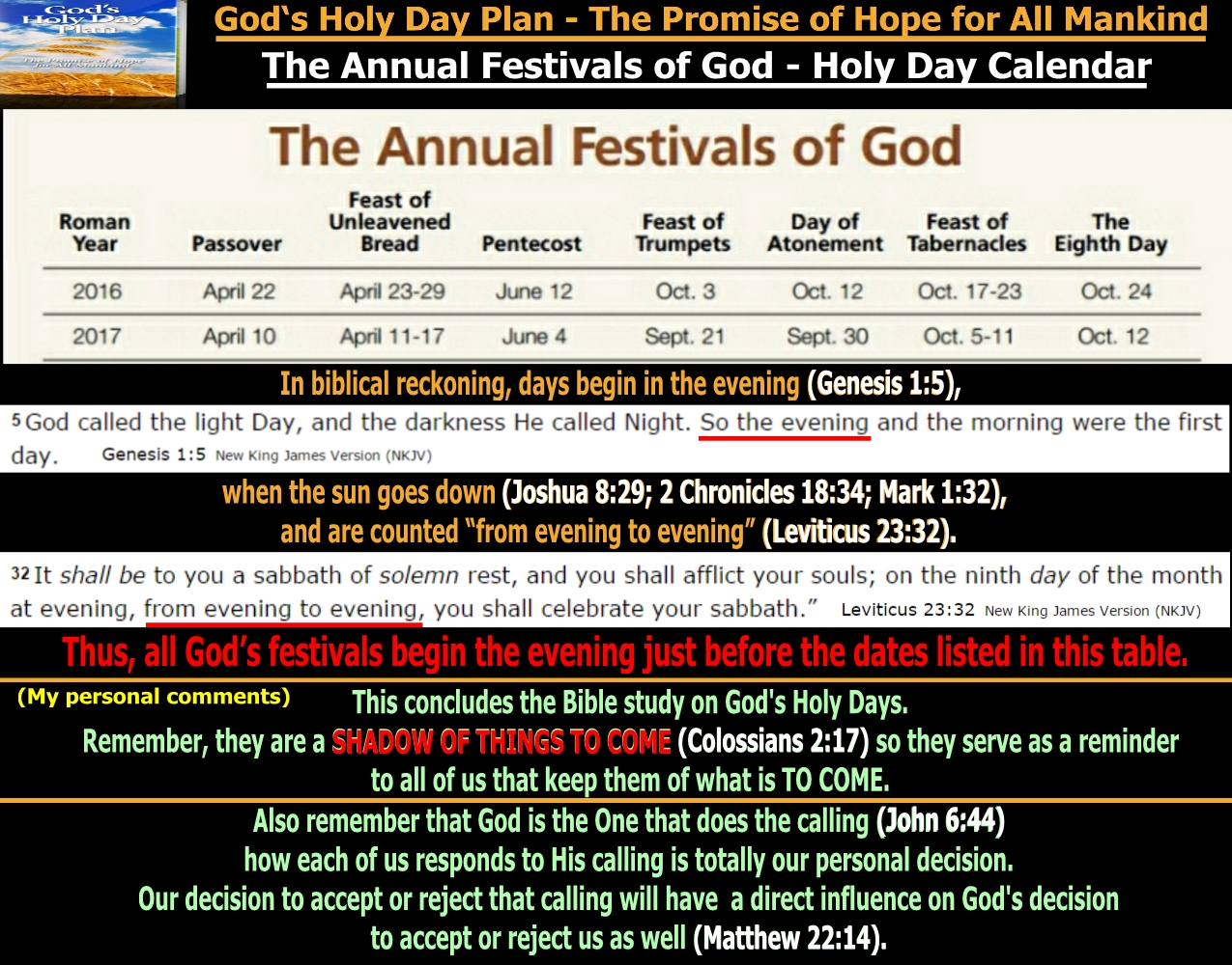 They follow the Lamb wherever He goes How Should We Observe God's