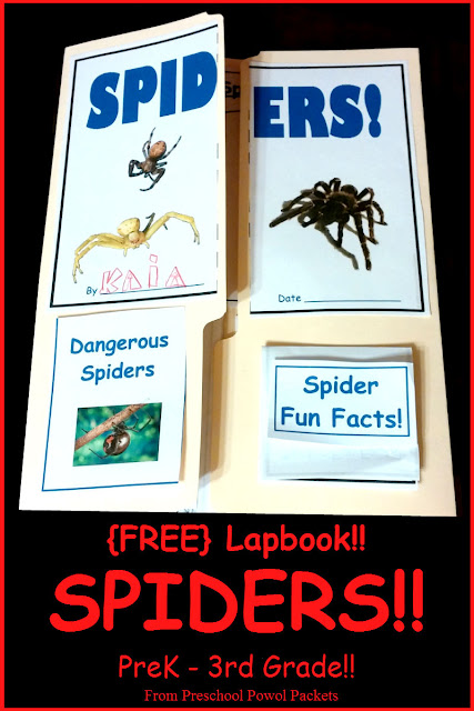 Free Spiders Lapbook for Pre-K through 3rd Grade