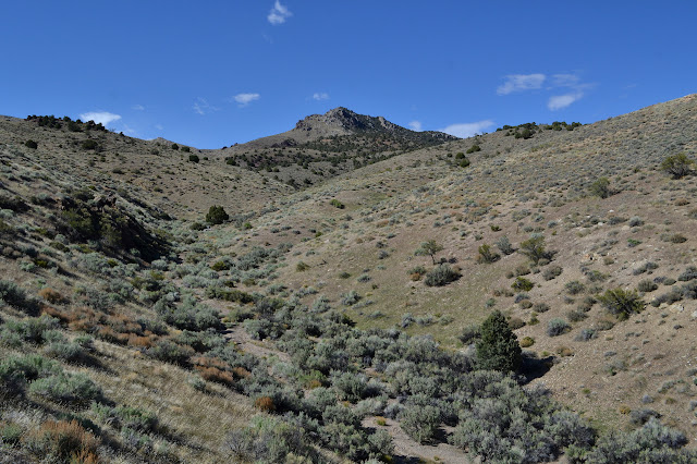 up a canyon