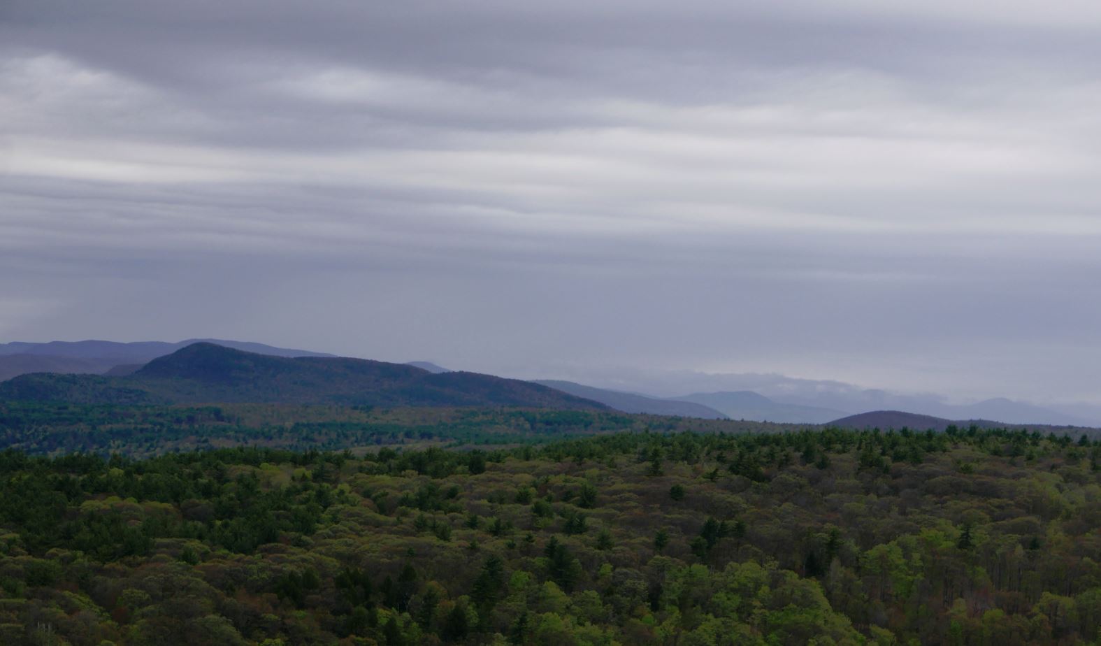 A Little Wild Moreau Lake State Park The Grand Tour