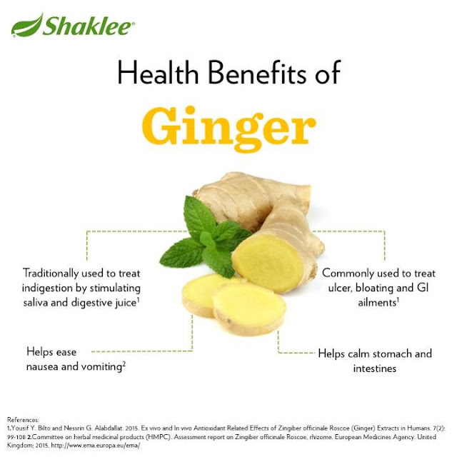 PeppermintGinger Plus Untuk Buang Angin KusKus