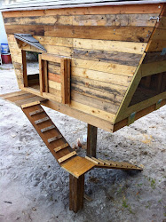 Very South Detroit: The Chicken Coop