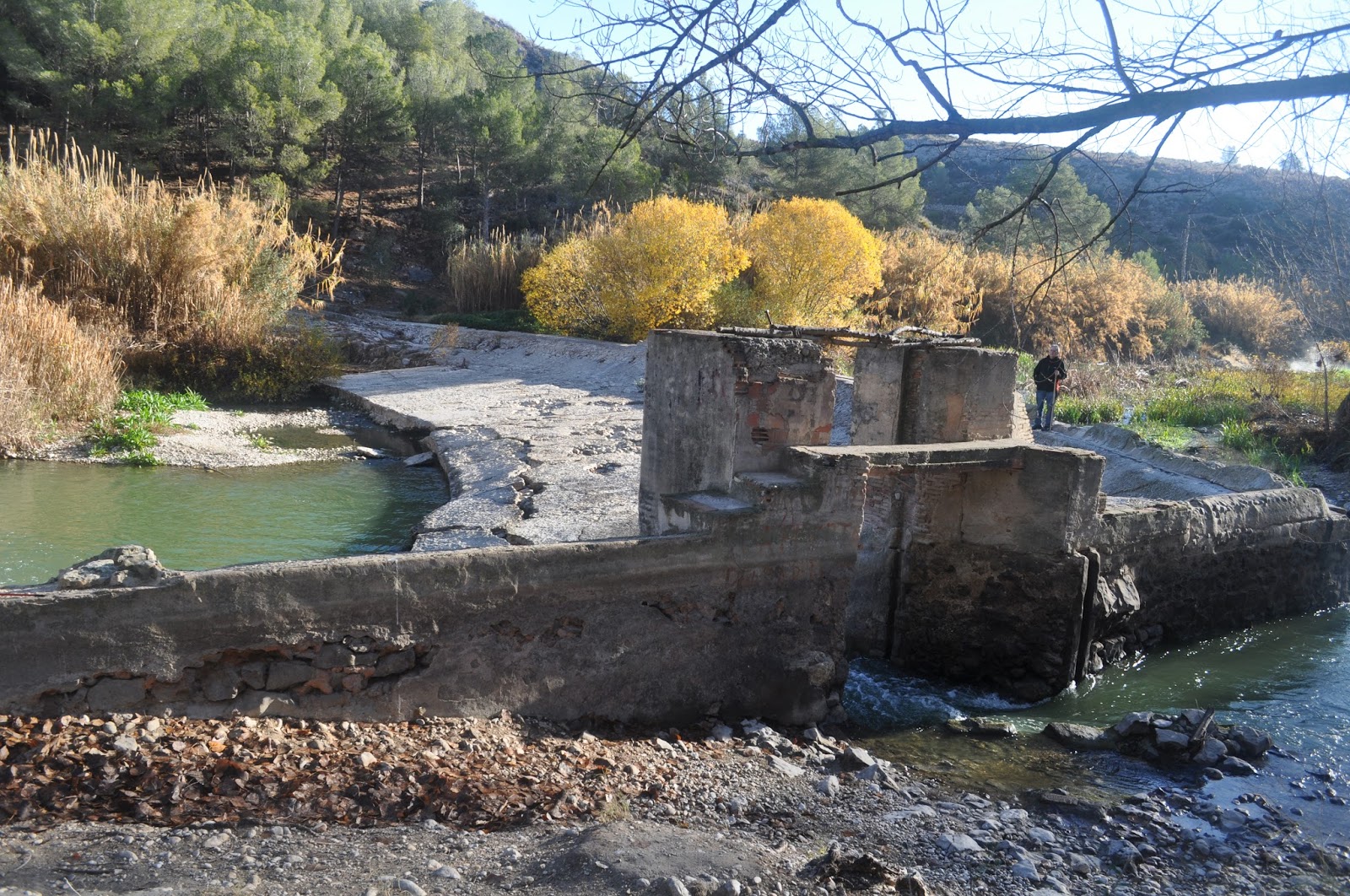 ASOCIACIÓN: DE BELLÚS A XÀTIVA