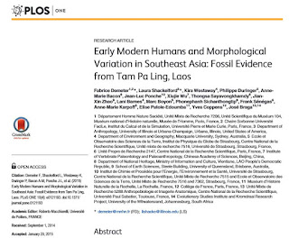 Early Modern Humans and Morphological Variation in Southeast Asia: Fossil Evidence from Tam Pa Ling, Laos 