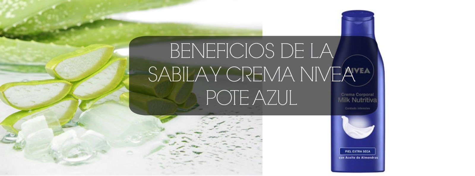como hacer crema de sabila para el rostro como hacer crema de sabila para el rostro