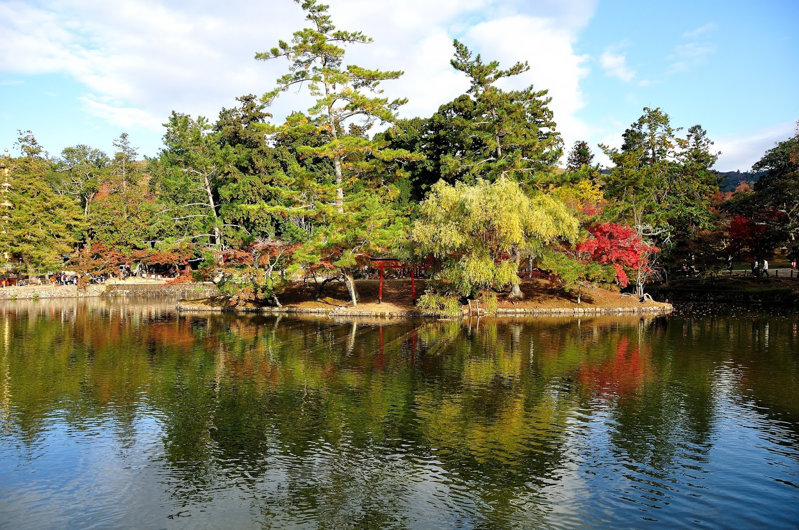 18關西賞楓 奈良縣奈良公園 手向山八幡宮 正倉院外圍賞楓葉銀杏