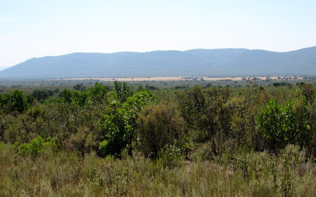 Senda la Viñuela. Rutas por el Parque Nacional de Cabañeros Sierra y raña de Cabañeros