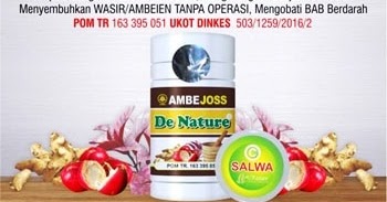 Gambar Wasir Stadium 1 Sampai 4