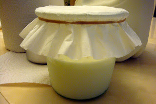 Kefir Alimento Probiótico