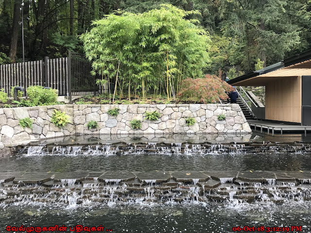 Entry cascading ponds  in Japanese Garden 