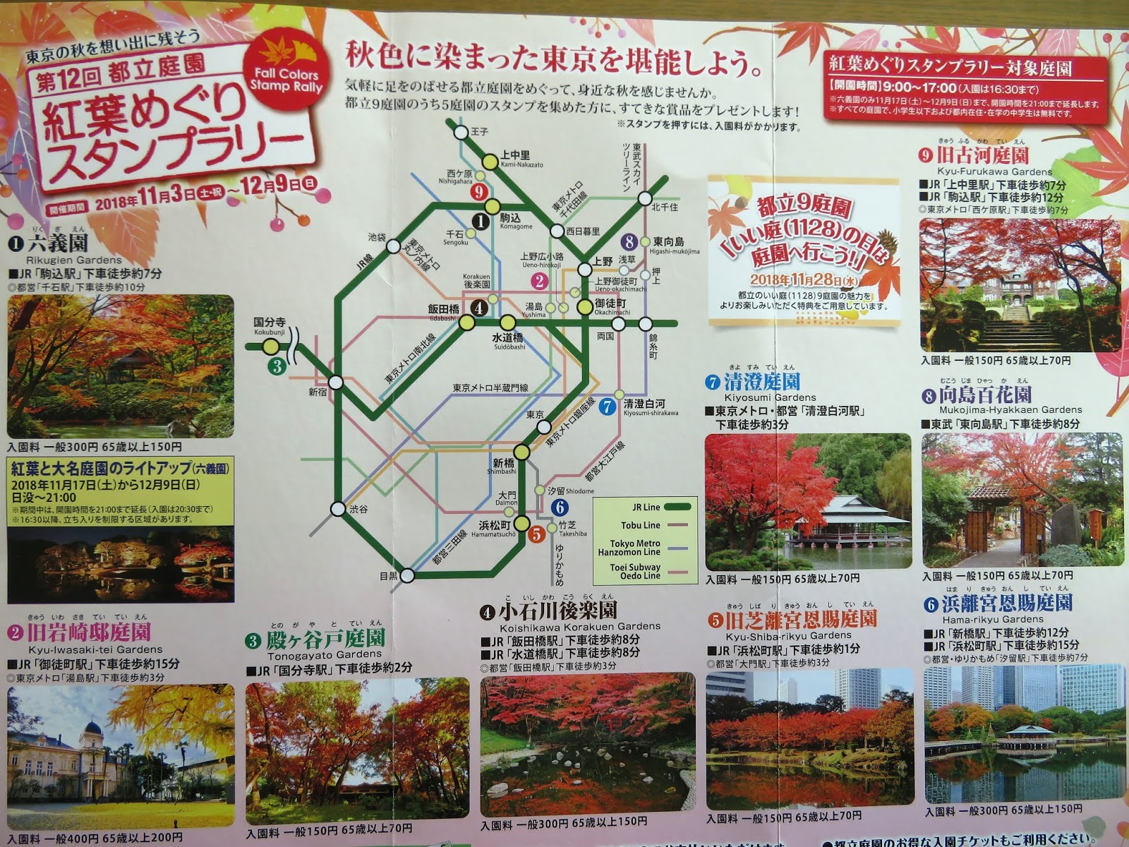 Kazのフォト日記 東京の庭園めぐり １ 向島百花園 18 11 13 火