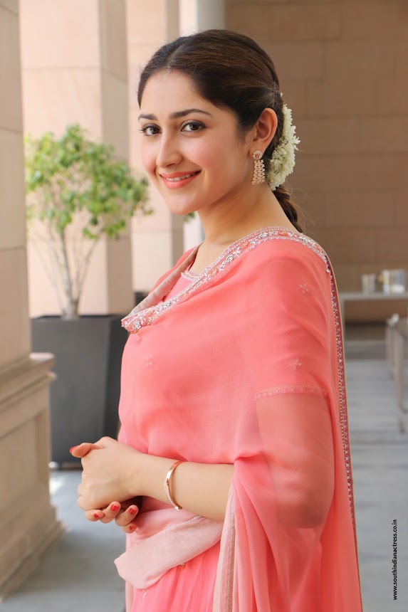 Sayyeshaa Saigal at Kadaikutty Singam Success Meet