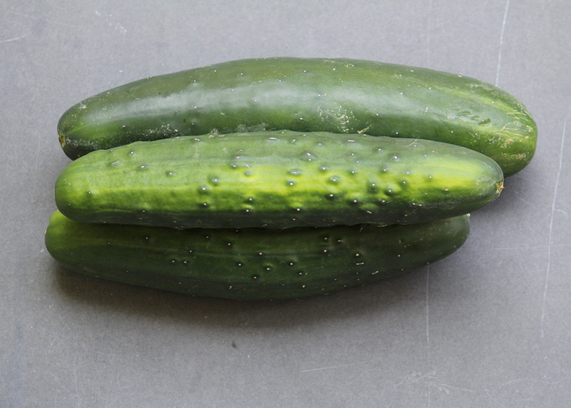 CSA Shares Cucumbers