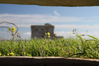 View of La Torre from Inside the Bunker