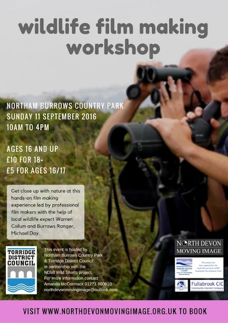 NDMI -  One day workshop for ages 16 and over at Northam Burrows Country Park on Sunday 11 September 