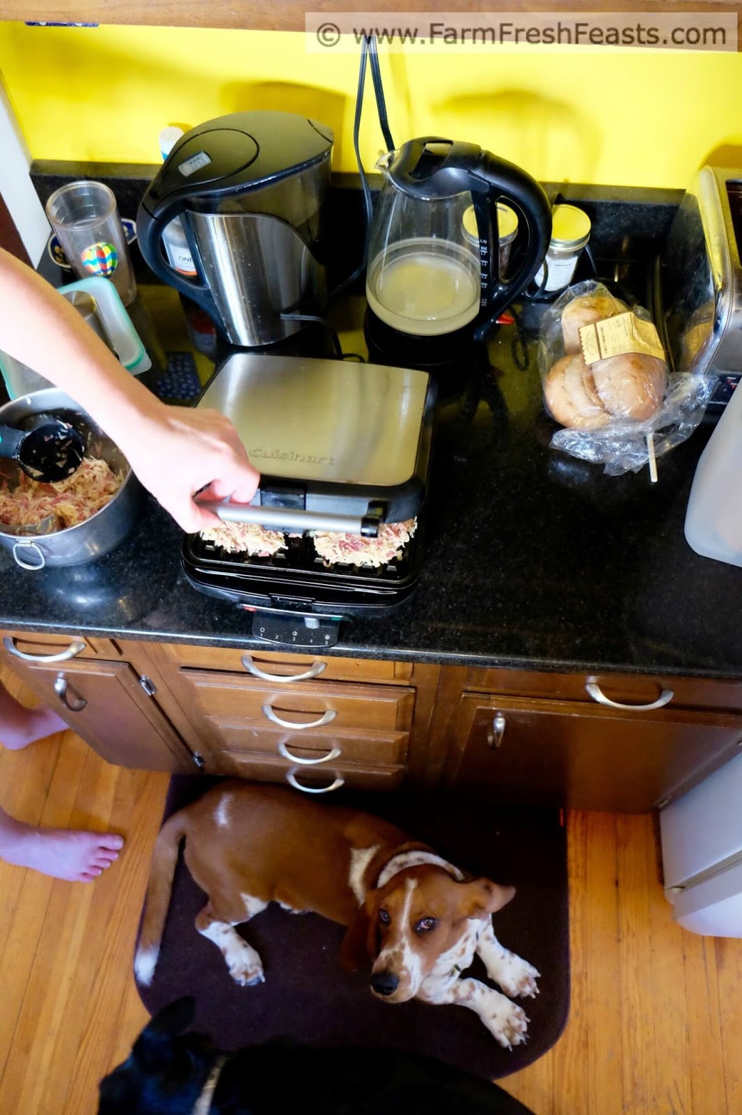 Farm Fresh Feasts Corned Beef Hash Waffles