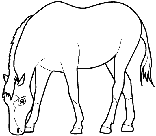 Como desenhar um cavalo - Eu Desenho Animais