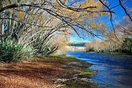 Autumn Riverbank