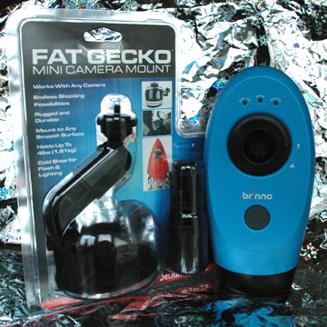 Photography Damentions: Bird Feeder Time Lapse Camera