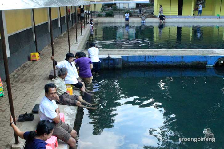 kolam cigugur kuningan