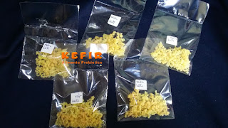 Kefir de leite desidratado pronto para doação 