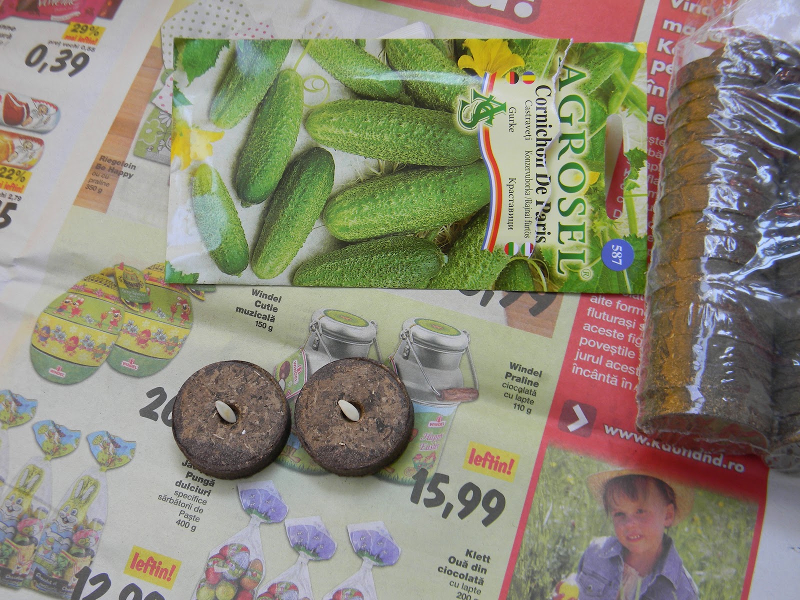 Gradina de pe balcon Cornichon de Paris & Cimbru