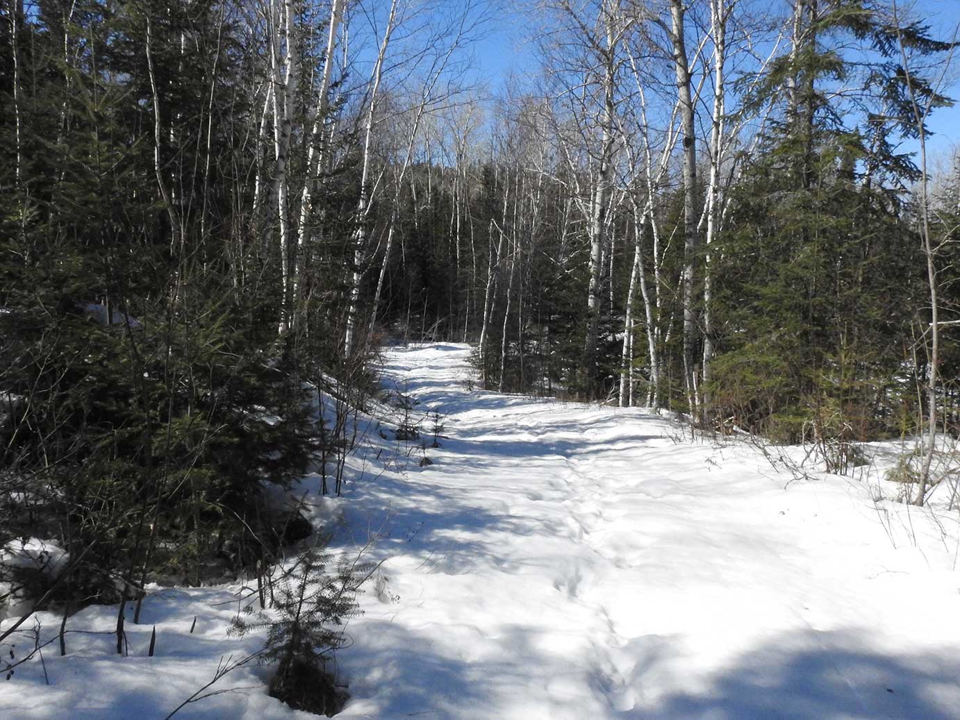 Gowganda Views Checking out the ice on Miller Lake