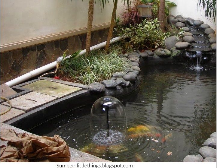 Contoh 49 Gambar Kolam Ikan Hias Minimalis Terbaik Infoikan Com