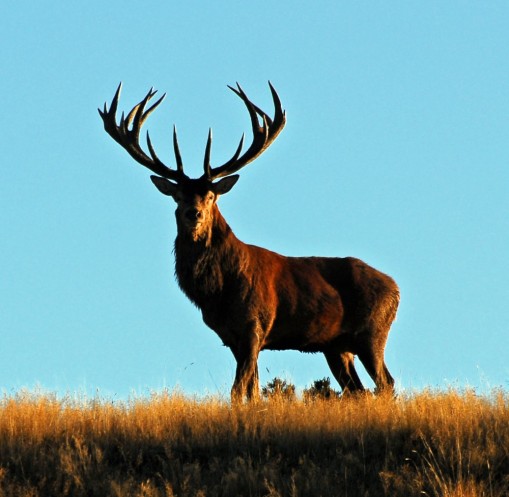 Sam Smith singer - Wikipedia