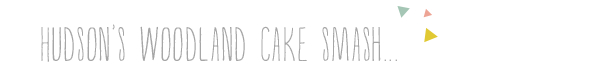 cake smash photographers in winston salem nc cake smash photographers in winston salem nc