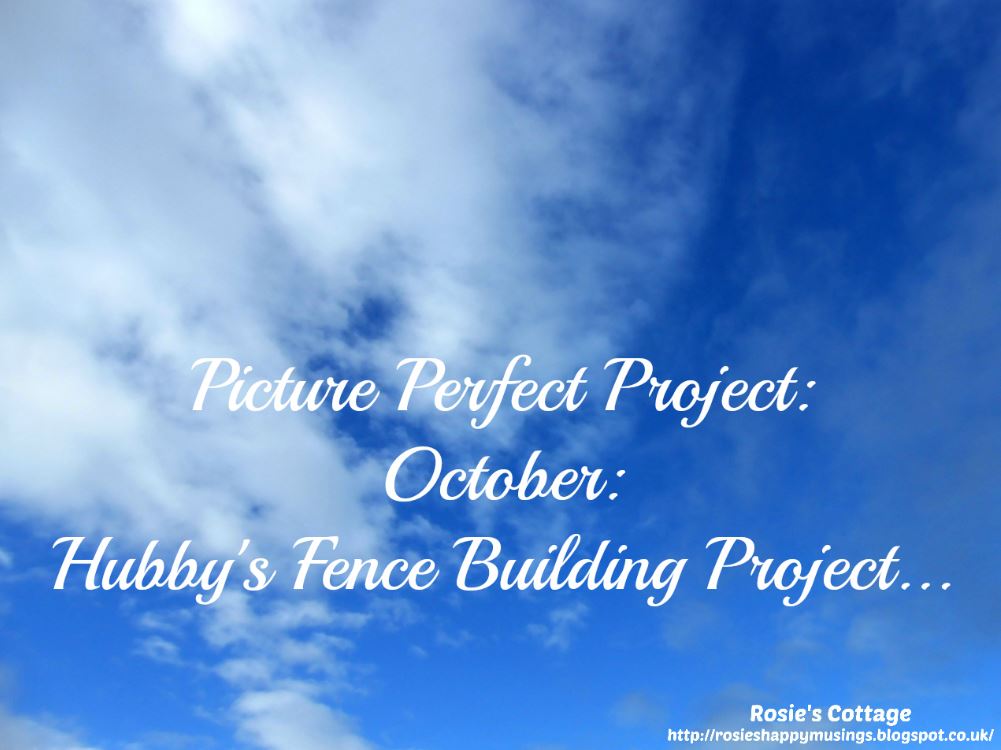 Rosie's Cottage: Picture Perfect Project: October: Hubby's Fence ...