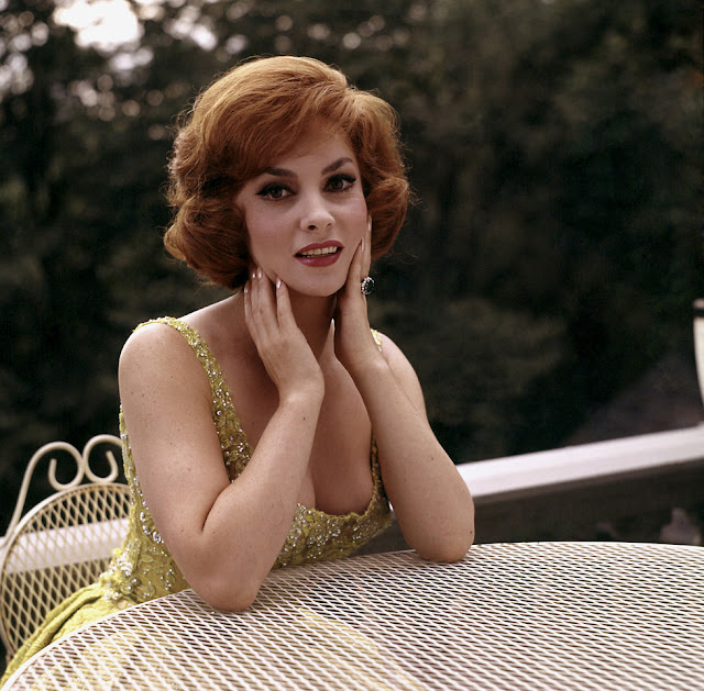 Gina Lollobrigida Classic Beauty Of The 1950s And The