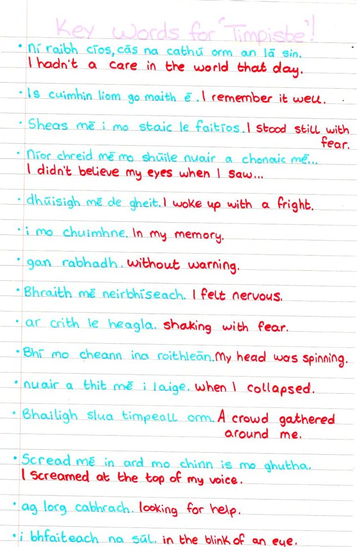 Study Notes By Kaz Irish Vocab & Paper 1 OL