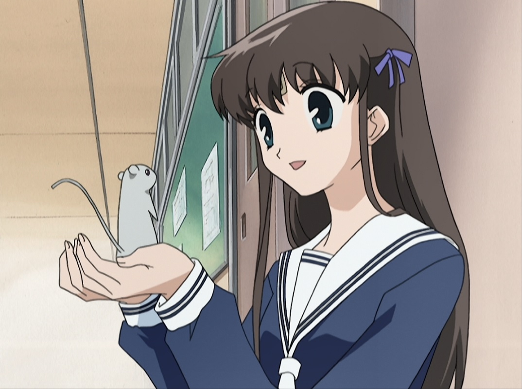 New on Bluray FRUITS BASKET (2001) The Complete Series (Classics