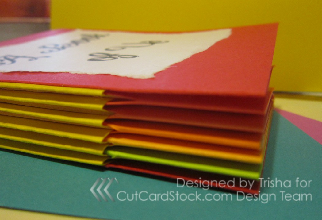 easily amused, hard to offend . . . Australian reverse piano hinge