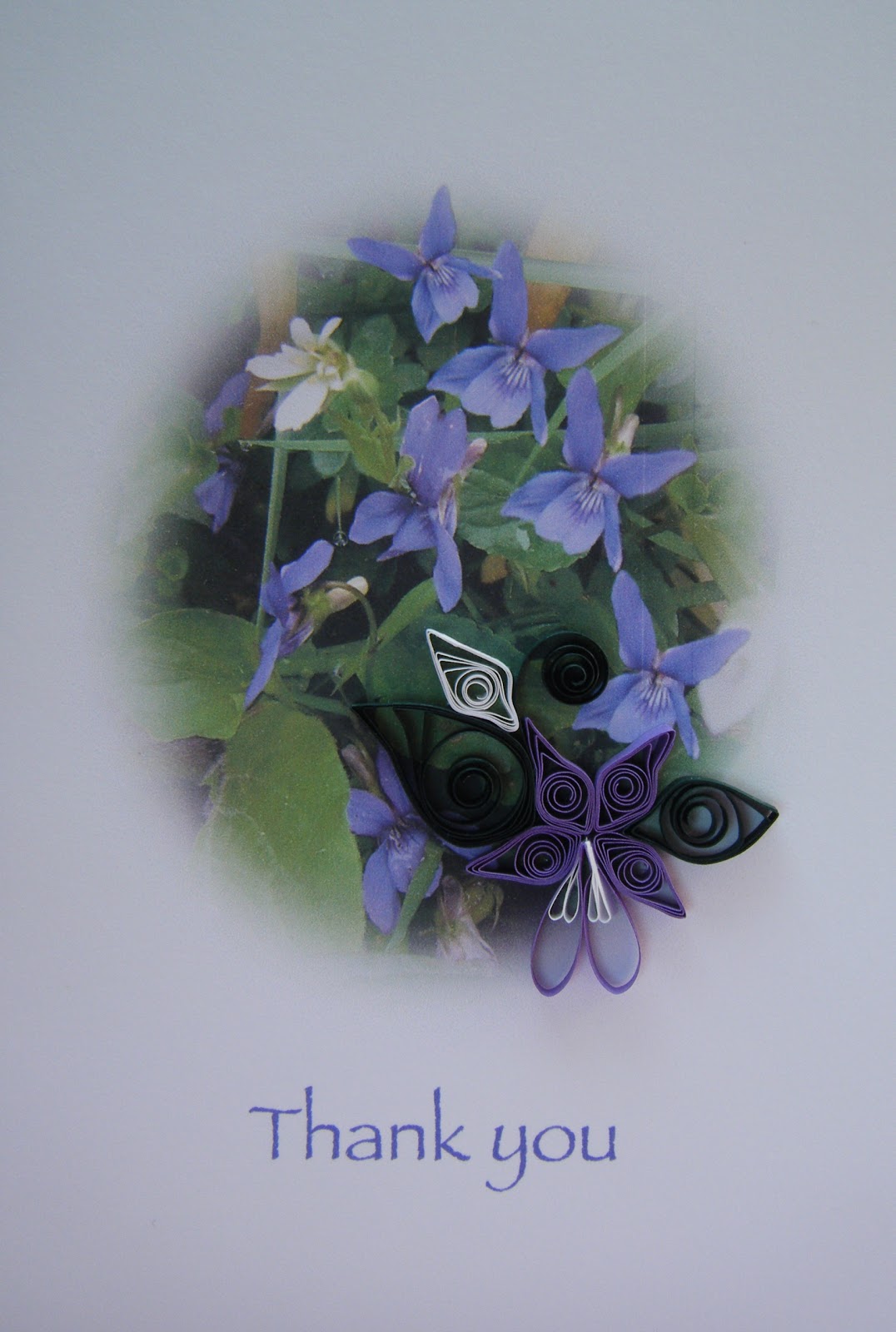 Quilliance A quilled violet