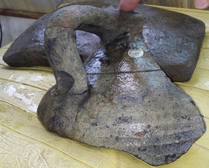 The Treasure Beaches Report Direct From Florida's Treasure Coast. 7/17