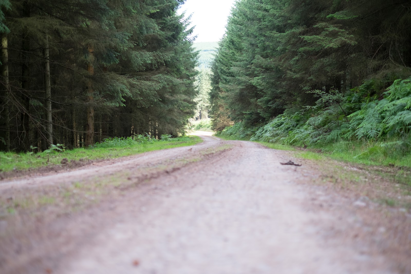 Wild Camping In The Black Mountains A Microadventure