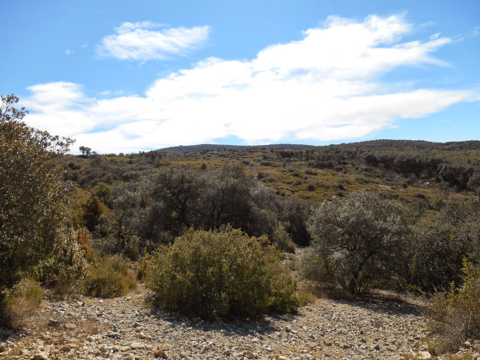San Quílez , Sierra San Quílez , (1.084m)
