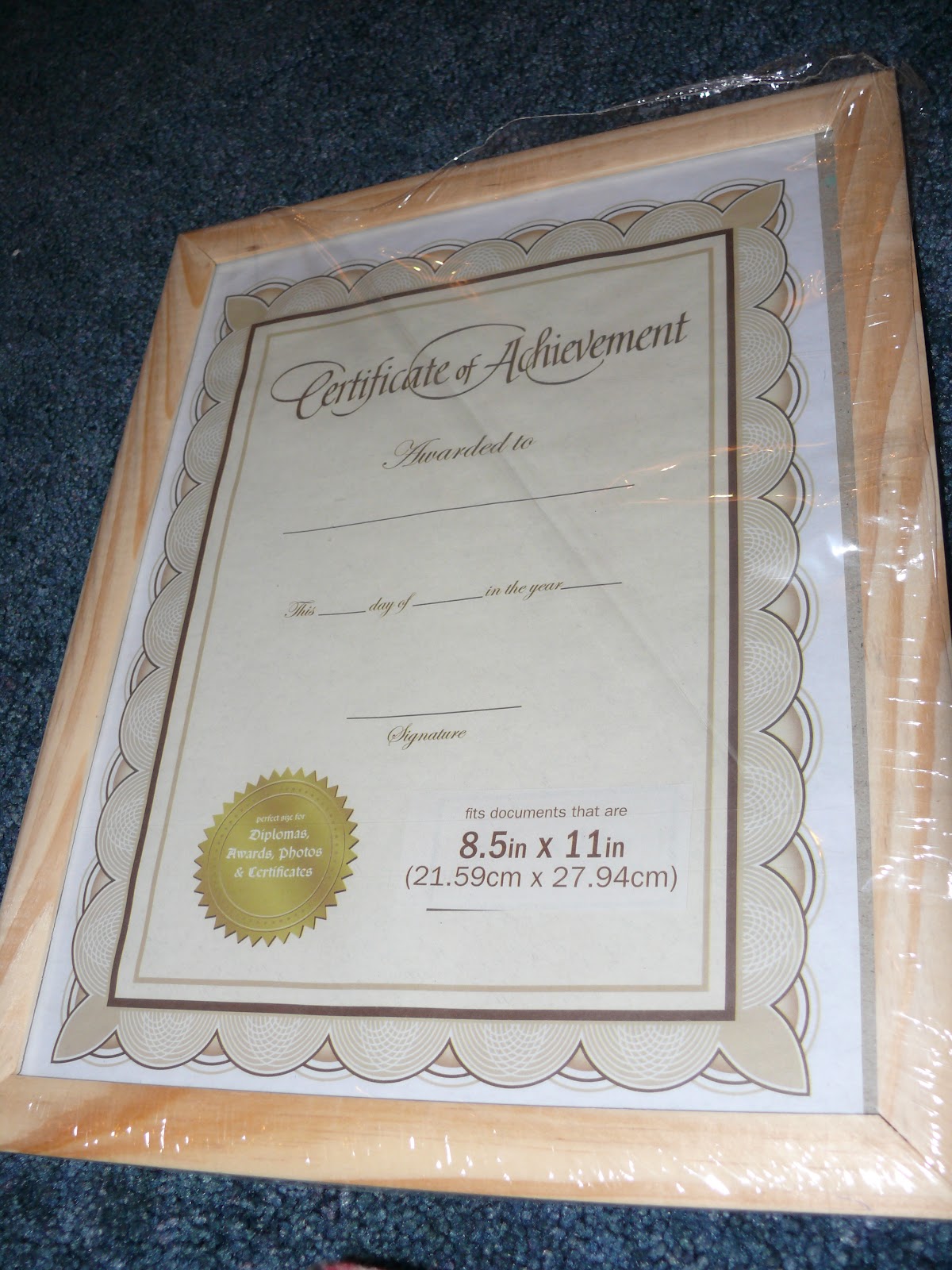 Eisenhower Dollar Set Dollar Tree Document Frames