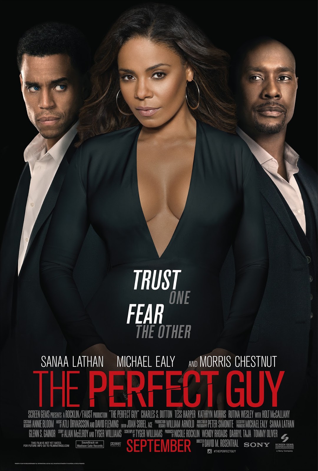 The Perfect Guy 2015 - Full (HD)